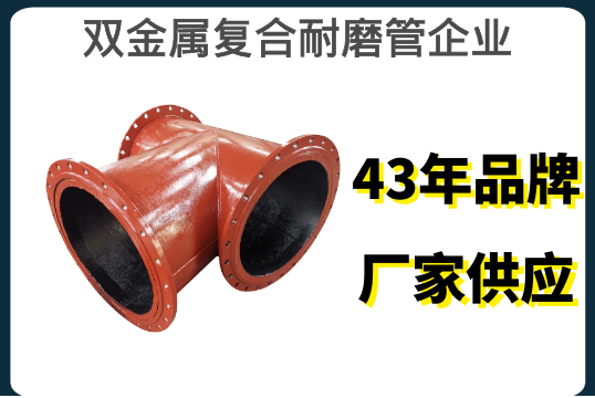 双金属复合耐磨管企业-43年品牌厂家供应[尊龙凯时]
